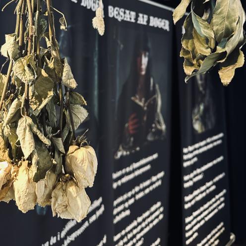 Udsnit af udstillingen 'Besat af bøger' på Køge Bibliotek